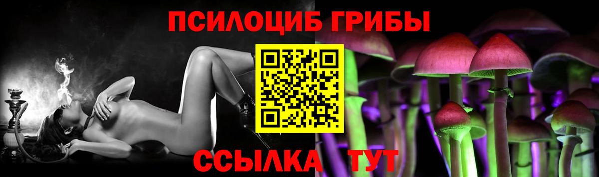 Химки  Псилоцибиновые грибы GOLDEN TEACHER  Вход с VPN 